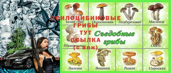 первитин Инта