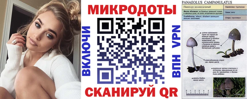 Псилоцибиновые грибы GOLDEN TEACHER  Купить  Поворино 